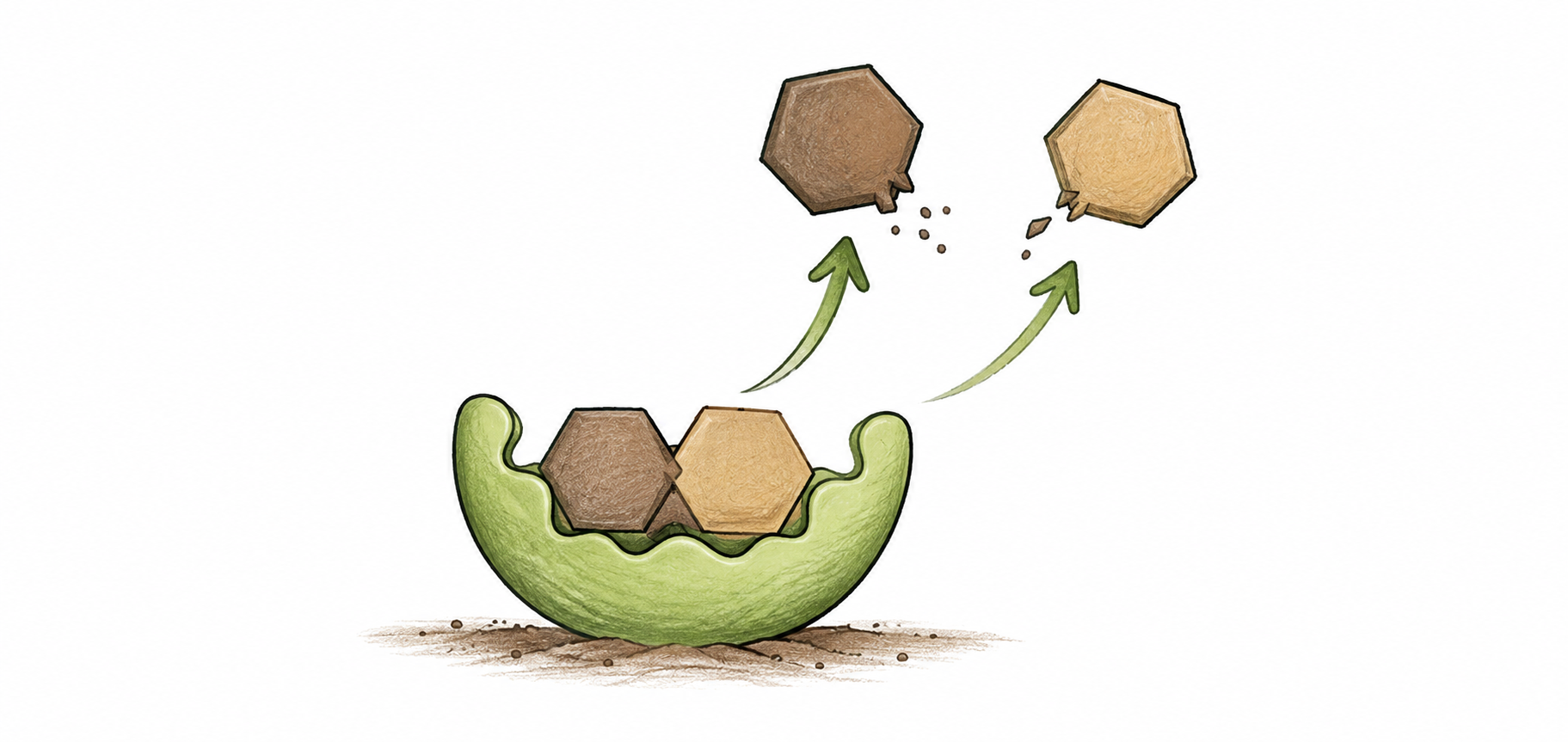 Break Down Soil Molecules